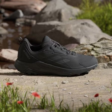 TERREX ANYLANDER HIKING SHOES